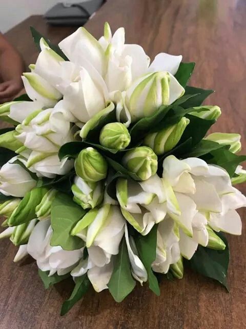 Envio y venta de flores ,rosas, plantas,arreglos florales ,regalos y desayunos a domicilio con delivery gratis en la Ciudad Autonoma de Buenos Aires y con costo de env�o en localidades del Gran Buenos Aires asi como delivery de flores y plantas a trav�s de florerias asociadas en todas las provincias de la Argentina, Buenos Aires, la Pampa, Tucuman, La Rioja, R�o Negro, Entre Rios, Corrientes, Misiones, Neuquen, Chubut, Tierra del Fuego, Santa Cruz, San Luis, Mendoza, Cordoba, Jujuy, Formosa, Santiago del Estero, Salta, Chaco, Catamarca ,San Juan, y ademas realizamos el delivery de flores ,coronas,palmas , plantas y regalos a todas las ciudades de Argentina, Mar del Plata, C�rdoba, Buenos Aires, con cargo en Santa Rosa, La Plata, Bella Vista, Neuquen, Pilar, Paran�, Posadas, Resistencia, Cipolleti y mas de 300 ciudades y localidades en todo el territorio de nuestro pa�s, asi como tambien tenemos la posibilidad de enviar flores a casi todo el mundo en cuestion de horas